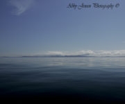 Afognak Seascape