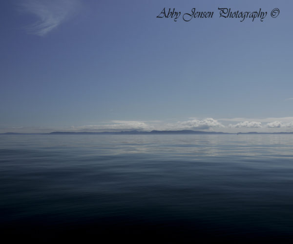 Afognak Seascape